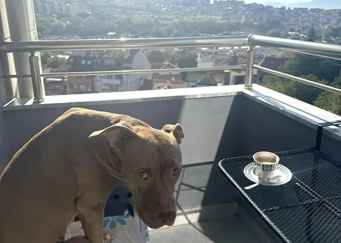 Vanity Апартаменты